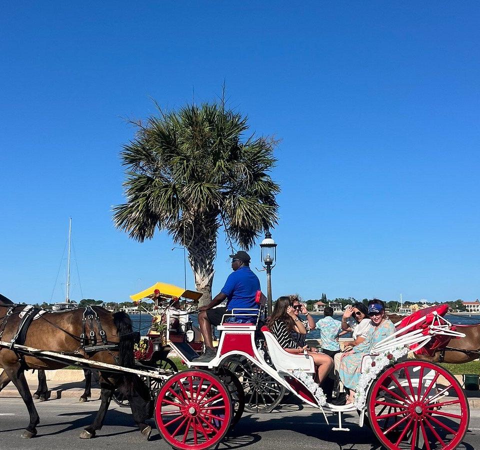 St. Augustine Residents Say Horse Carriages Are 'Barbaric,' City Hall Wonders If Horses Should Get Lunch Breaks