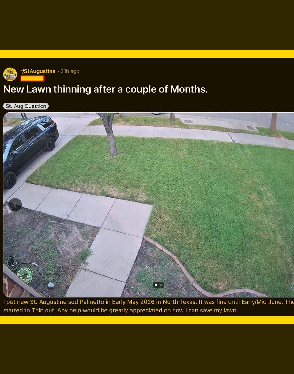 Screenshot of a Reddit post in r/StAugustine showing a thinning St. Augustine grass lawn located in North Texas.